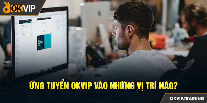 Ứng tuyển OKVIP vào những vị trí nào? 